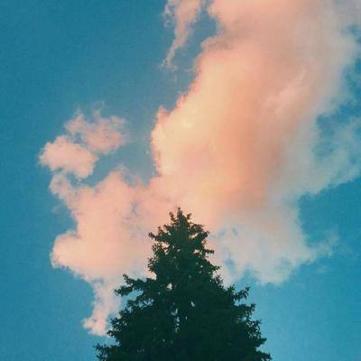 365平台app下载截图